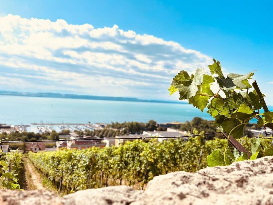 Charmant Appartement De Vacances Alta Ripa Hauterive  Ngoại thất bức ảnh